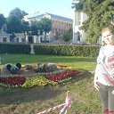 ���� ����������, ���������, 44 ���� - ��������� 11 ���� 2010