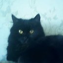 ���� ������, �����, 57 ��� - ��������� 11 �������� 2011 � ������ �������