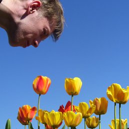 ���� ����, ����������, 46 ��� - ��������� 17 ������ 2012