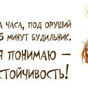 ���� ����, �����������, 34 ���� - ��������� 17 ��� 2013 � ������ ���