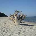 ���� ������, �����������, 55 ��� - ��������� 1 ���� 2011 � ������ ������