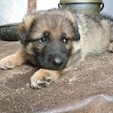 ���� �, �����-���������, 50 ��� - ��������� 9 �������� 2010 � ������ �������