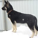 ���� ������, ���, 57 ��� - ��������� 11 ������ 2012 � ������ �� � �����