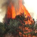 ���� Anna, �������, 45 ��� - ��������� 6 ���� 2011 � ������ ��������