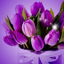  , -- -  14  2013   .....   ...