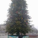 ���� ��������, �������, 40 ��� - ��������� 25 ���� 2013 � ������ ���� ����������