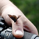 ���� Svann, ���������, 71 ��� - ��������� 14 ���� 2013 � ������ ���������� �� �������