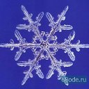 ���� �������, ������, 41 ��� - ��������� 9 ������� 2009 � ������ ���������