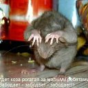 ���� Alex, �����������, 61 ��� - ��������� 6 ������ 2012 � ������ �������