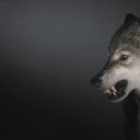 ���� �����, �����-�������� - ��������� 4 �������� 2012 � ������ �� ���� � ���� ������� ���.�