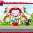 ���� �����, �����, 40 ��� - ��������� 8 ������� 2010 � ������ �PetLove�