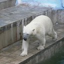 ���� ������� �����, ����������� - ��������� 29 ���� 2011 � ������ �������