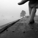  ,  , 50  -  11  2013