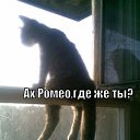 ���� ��������, �������, 63 ���� - ��������� 22 ������� 2011 � ������ �������