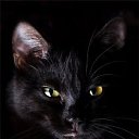 ���� ����, ������ ��������, 38 ��� - ��������� 30 ����� 2011