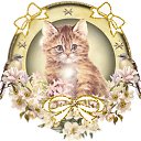 ���� ����, �����-���������, 22 ���� - ��������� 28 ������� 2010