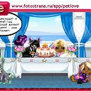 ���� =���=317, ������ - ��������� 28 ������� 2010 � ������ �PetLove�