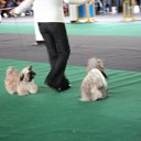���� �����, ����� - ��������� 1 ������� 2011 � ������ ��������� ����� � �����.����� 2011�