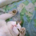 ������ �� ������� ���� ����Ȼ