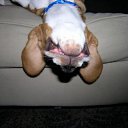 ���� ����� - ���������� ��������!!!, �����������, 56 ��� - ��������� 13 ������� 2009 � ������ ��������� (�����)�