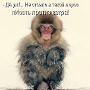 ���� �����, ������������ - ��������� 17 ���� 2010 � ������ ��������