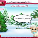  , -, 48  -  13  2010   PetLove