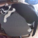   ,  -  26  2013        =)