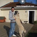 ���� �����, ������ - ��������� 3 ������� 2012