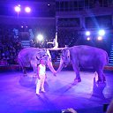 ���� ��������, ������ - ��������� 3 ������� 2013 � ������ ���� ����������