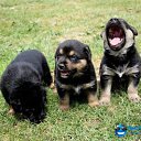 ���� �����, ���� - ��������� 26 ������� 2013 � ������ ���� ������ ������� �����, ��� ������ �������� ������)))�