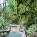 ���� ���, ���������, 50 ��� - ��������� 24 ������� 2012 � ������ ���� ����������