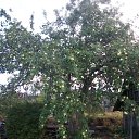 ���� �����, ������ ��������, 57 ��� - ��������� 15 �������� 2010 � ������ �������