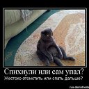 ���� ������, �����-��������� - ��������� 6 ������� 2012 � ������ ���� ����������