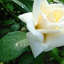 ���� ��������, ������ - ��������� 23 ������� 2010 � ������ �������