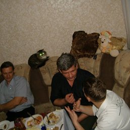 Volk, , 55 