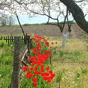 ���� �����, �����������, 72 ���� - ��������� 13 ���� 2013 � ������ ���� ����������