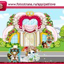 ���� �����, ������ ��������, 57 ��� - ��������� 20 ������ 2011 � ������ �PetLove�