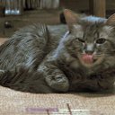 ���� �.�., ������, 46 ��� - ��������� 14 ������ 2010 � ������ ���������