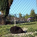 ���� �����, ������, 47 ��� - ��������� 7 ������� 2010 � ������ �����-������� 2010�