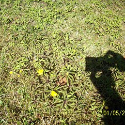 ���� ������, �����-���������, 55 ��� - ��������� 29 ��� 2011