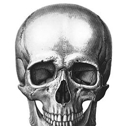 ���� ������, ������������� - ��������� 25 ������ 2012