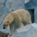 ���� ������� �����, ����������� - ��������� 29 ���� 2011 � ������ �������