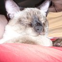 ���� ���������, ������ - ��������� 4 ���� 2013 � ������ ����� ��� ������������