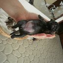 ���� �����, ��������, 51 ��� - ��������� 10 ���� 2012 � ������ ������