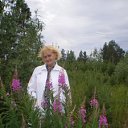 ���� �����, ��������, 68 ��� - ��������� 4 ���� 2013 � ������ ���� ����������