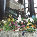 ���� ����. ��������� �� ��!, ������, 72 ���� - ��������� 13 ������ 2011 � ������ ��������