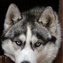  Angel, , 39  -  16  2010   