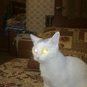 ���� ��������, ���������� - ��������� 3 ���� 2013 � ������ ����� ��� ������������