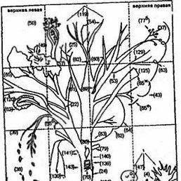 �����, ��������, 27 ���