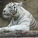 ���� Helen, ������ - ��������� 12 ��� 2013 � ������ �������